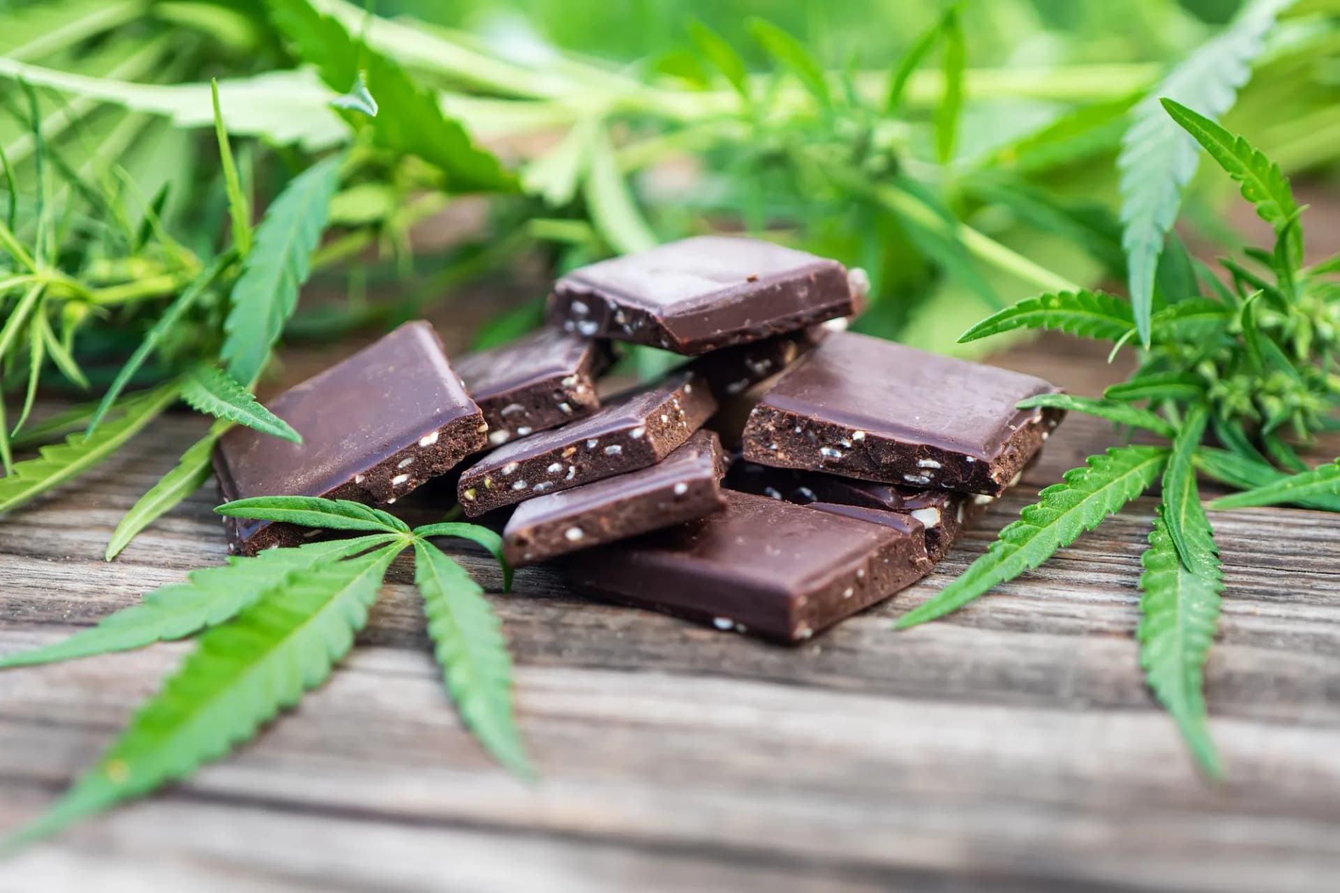 Shop 1000mg Chocolate Edibles for Wellness