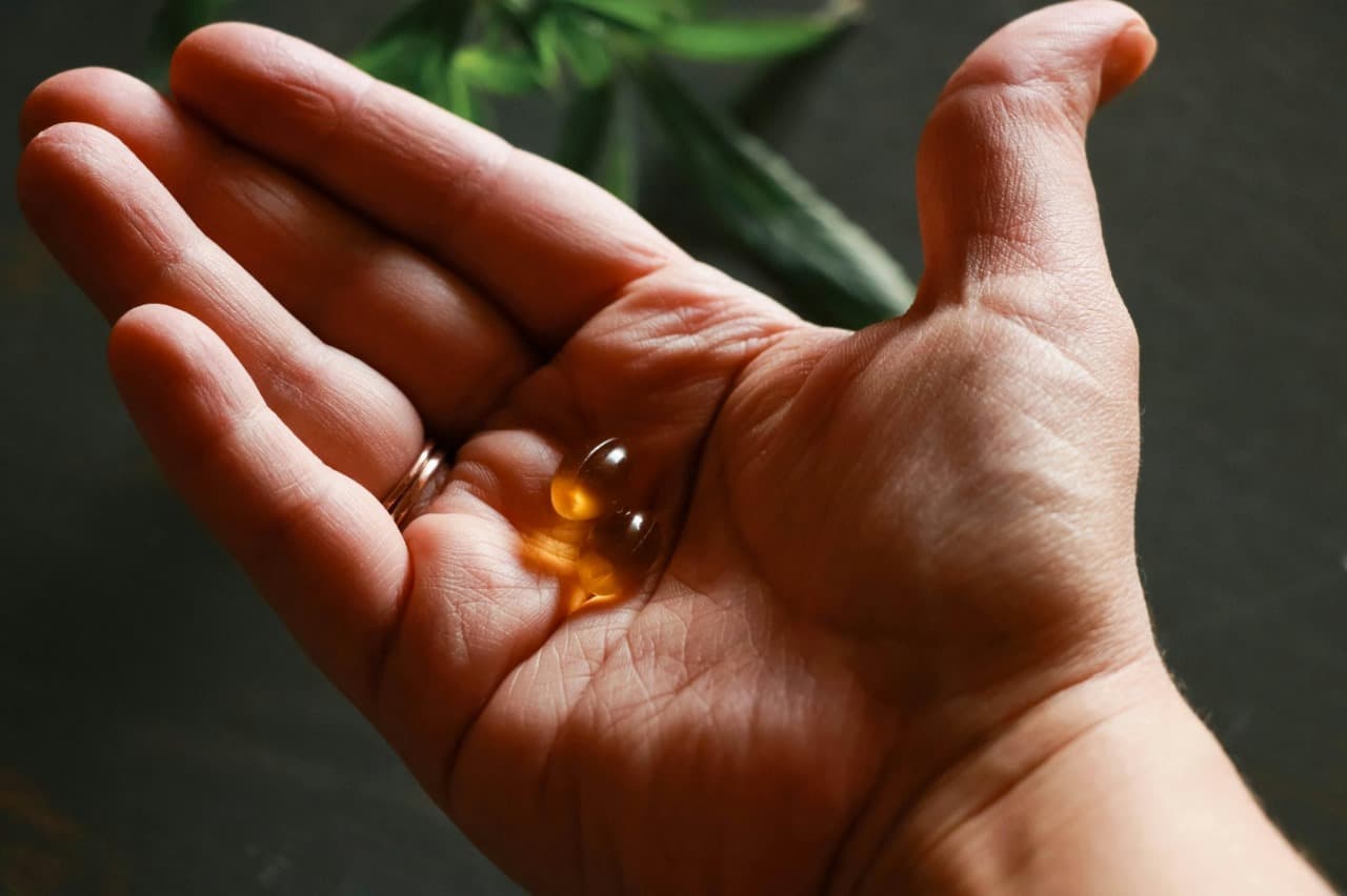 How Neuro Cept Enhances Focus and Memory