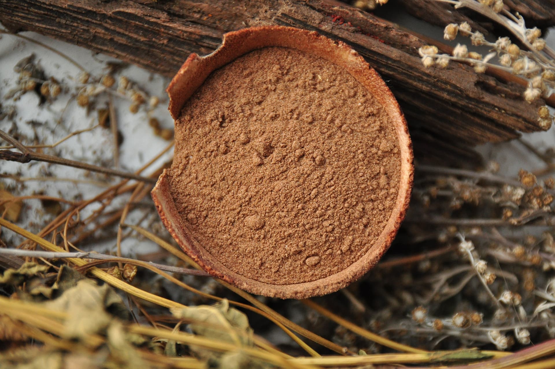 Crafting Beautiful Dyes with Mimosa Hostilis Root Bark USA