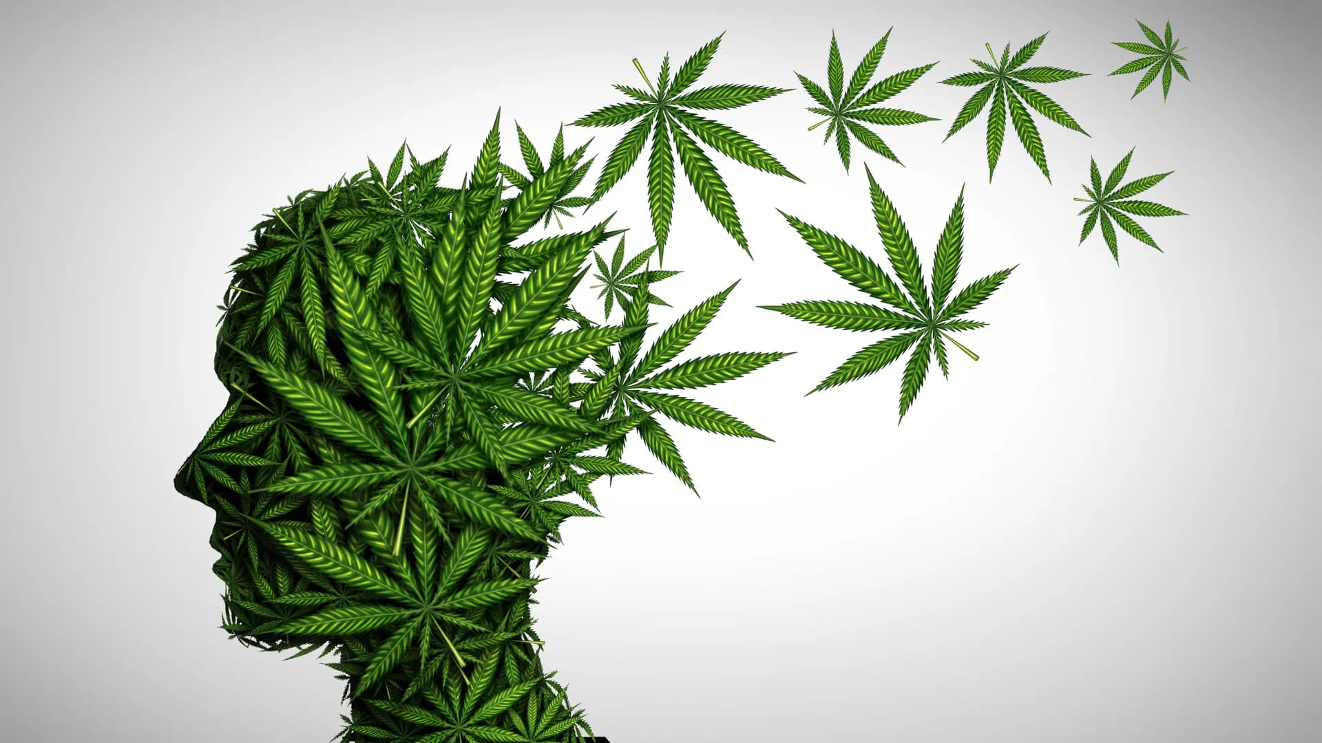 Cannabis club hamburg – Cannabis gemeinsam neu gedacht