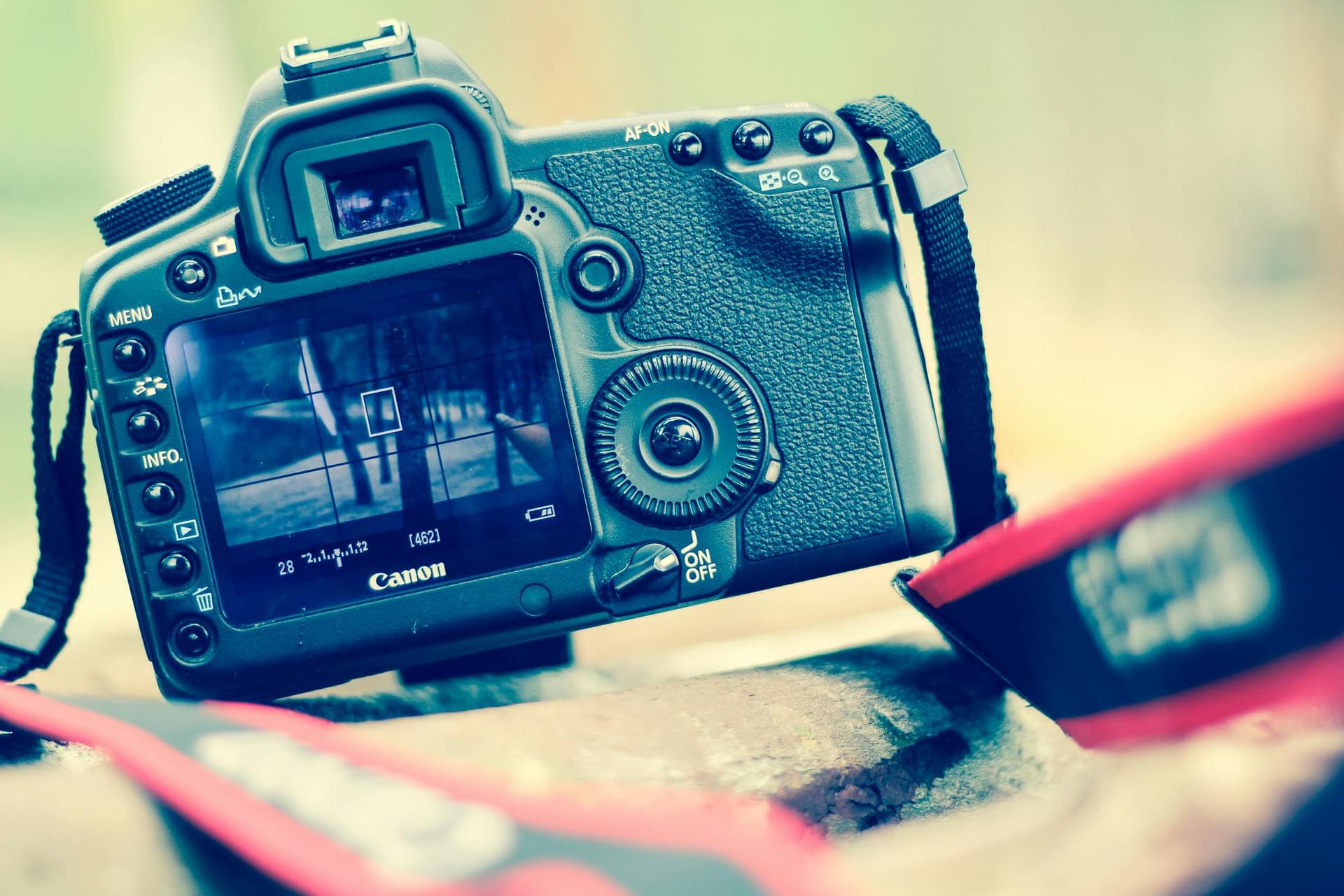 Creative Video Editing and Animation Course – Master Visual Storytelling