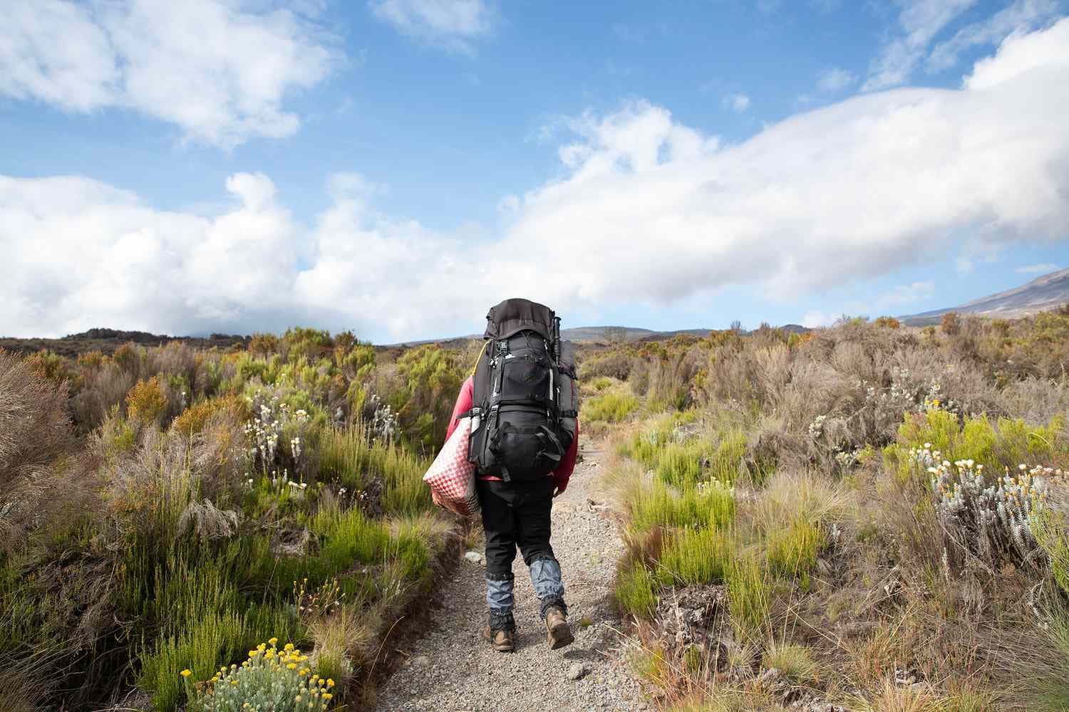 Kilimanjaro Trekking Tours Without International Middlemen