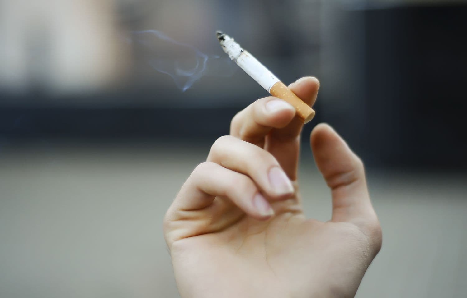 My Native Smokes Offers Premium Smokes Canada Selection