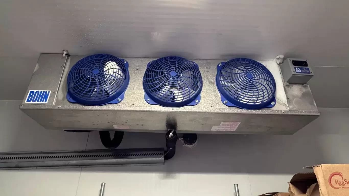 Prevent Freezer Downtime With Repairs You Can Trust — RepairUs