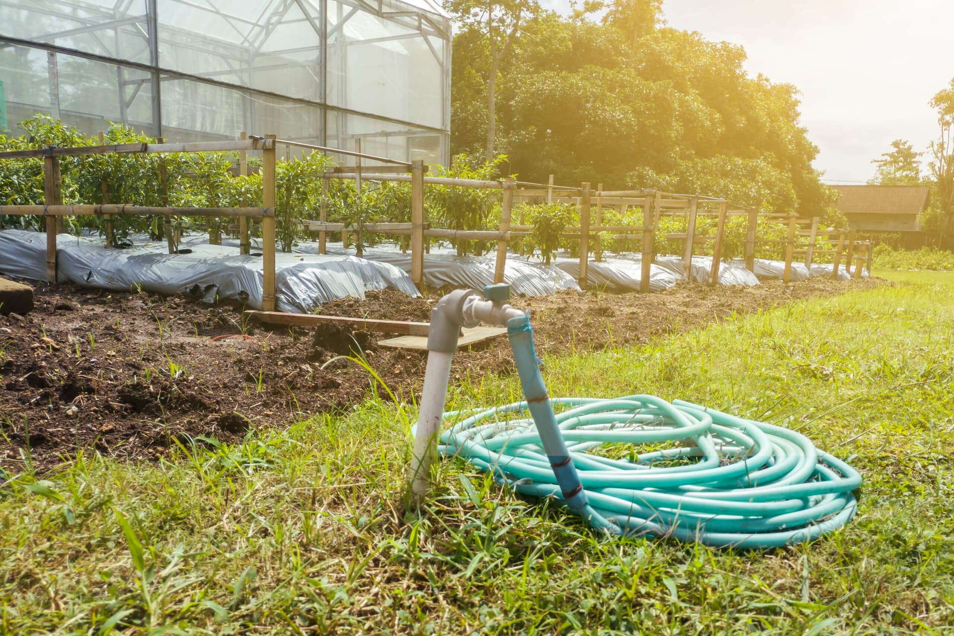 Comprehensive Expert Drainage Services in Azle, TX for Every Property