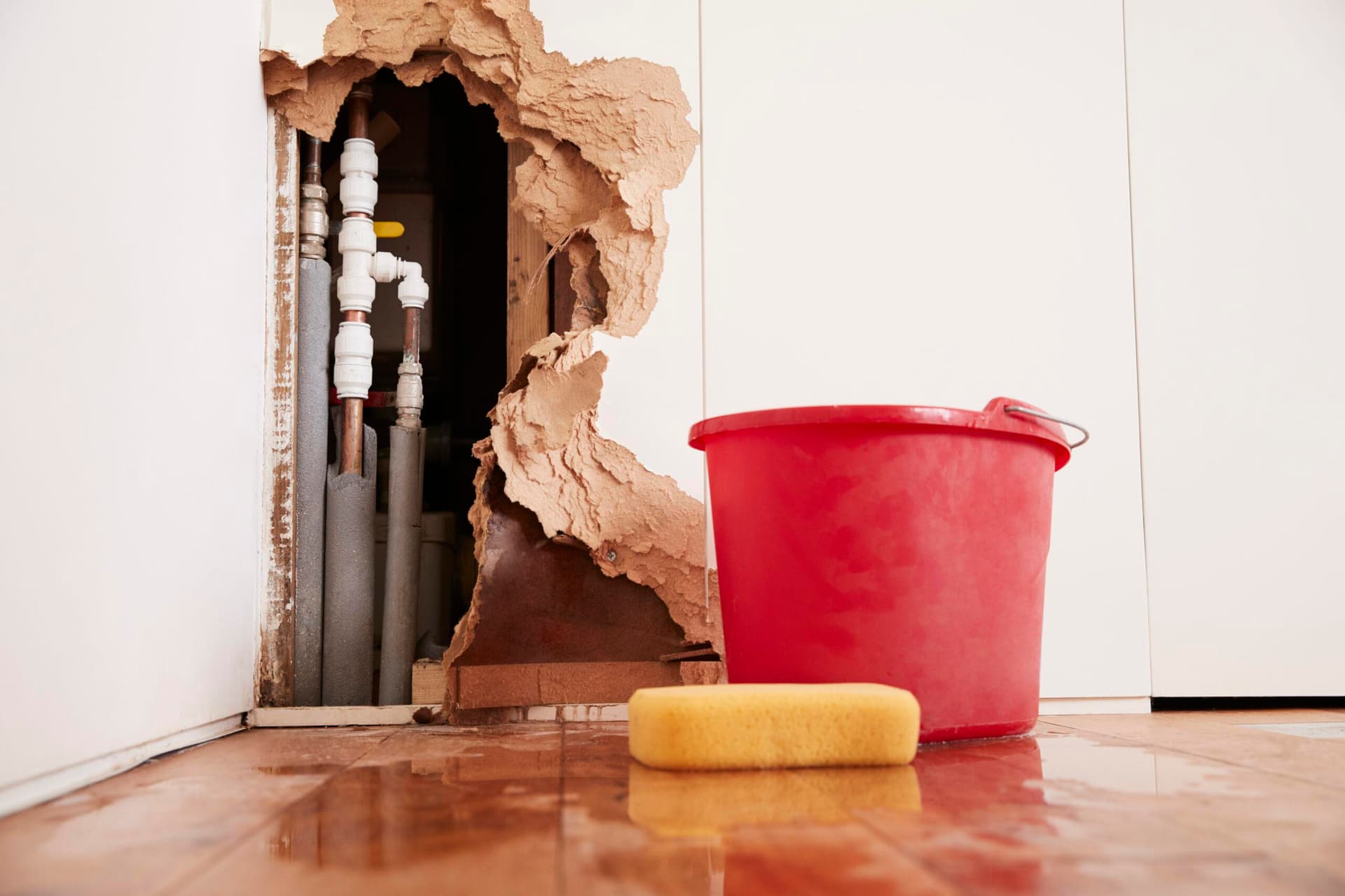Expert Lawyer for Insurance Water Claims: Your Guide to Navigating Legal Challenges