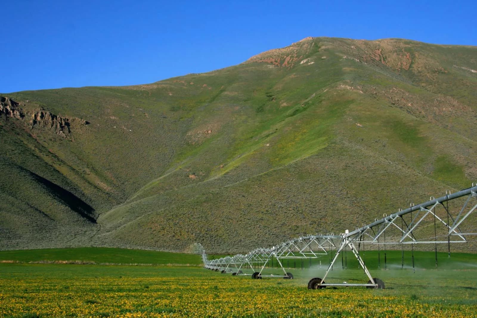 Efficient Professional Irrigation Services in White Settlement, TX