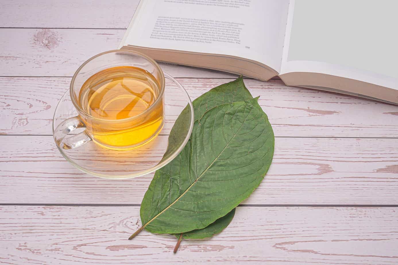 Sustainable and Fresh – Organic Kratom Drinks Thailand