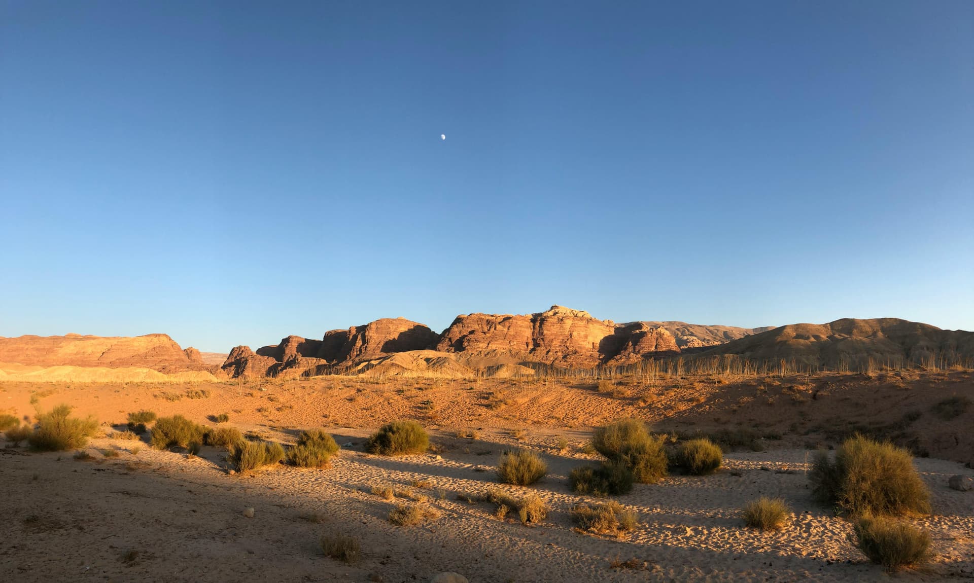 Luxury Jordan Cultural Tours and Trips for Authentic Experiences