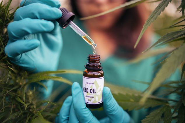 Clubs Cannabis Madrid Presents the Ultimate Hash Madrid Experience