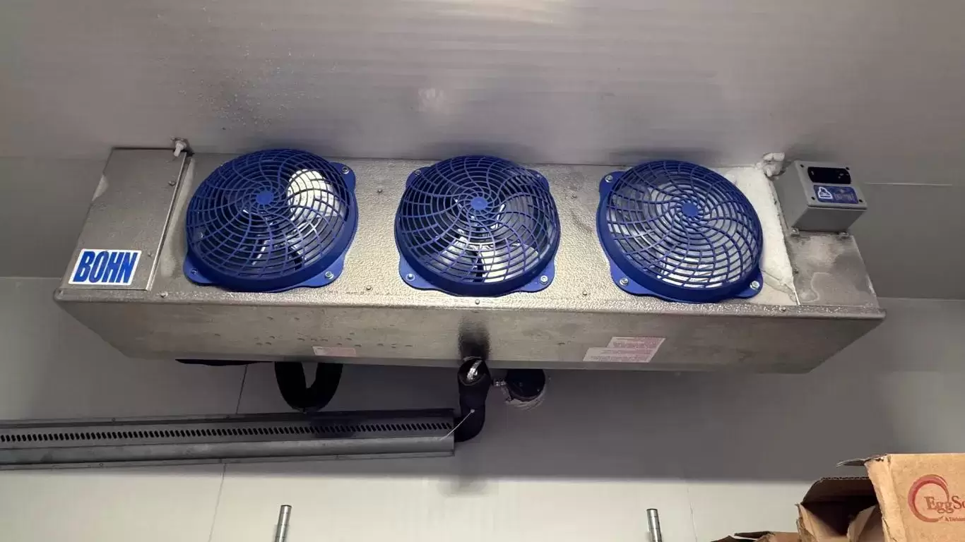 Prevent Freezer Downtime With Repairs You Can Trust — RepairUs
