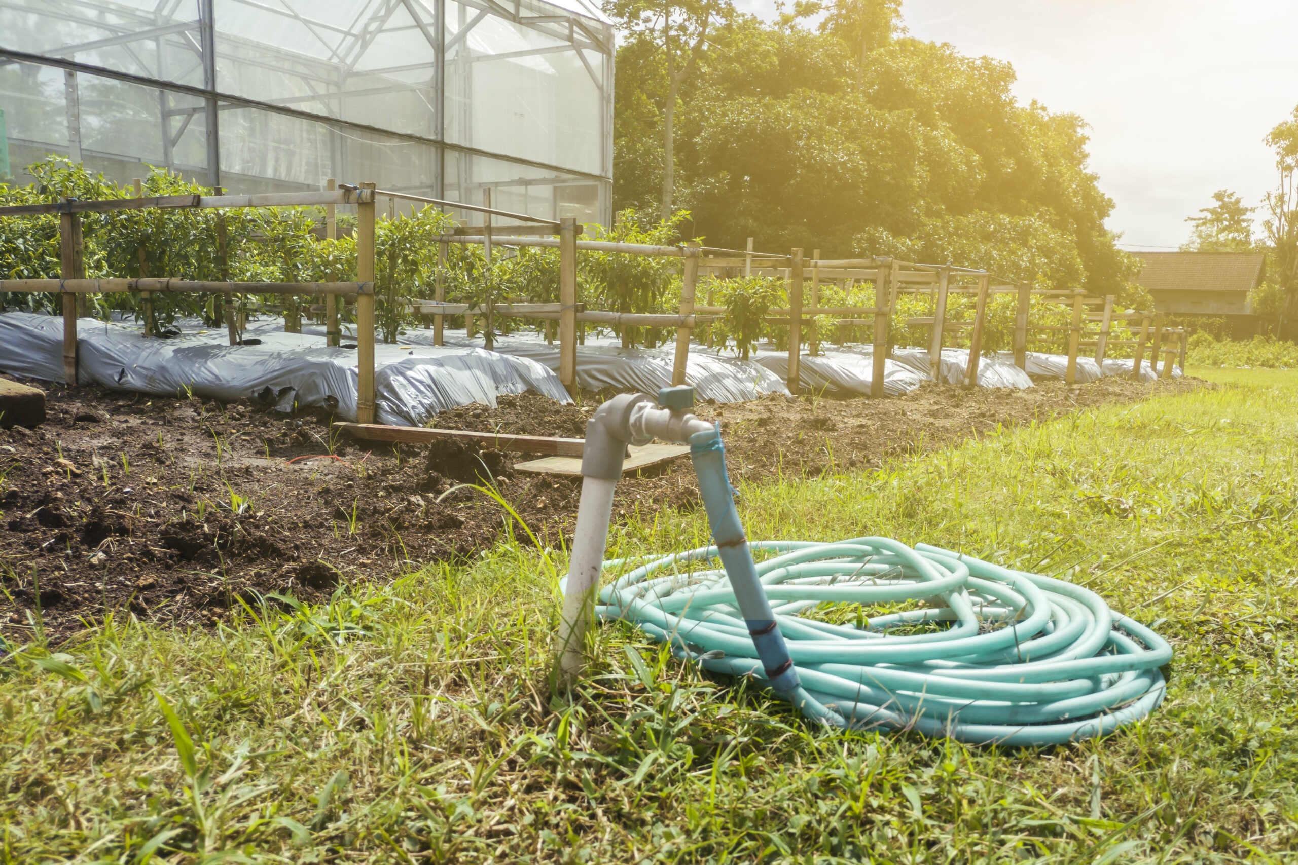 Comprehensive Expert Drainage Services in Azle, TX for Every Property