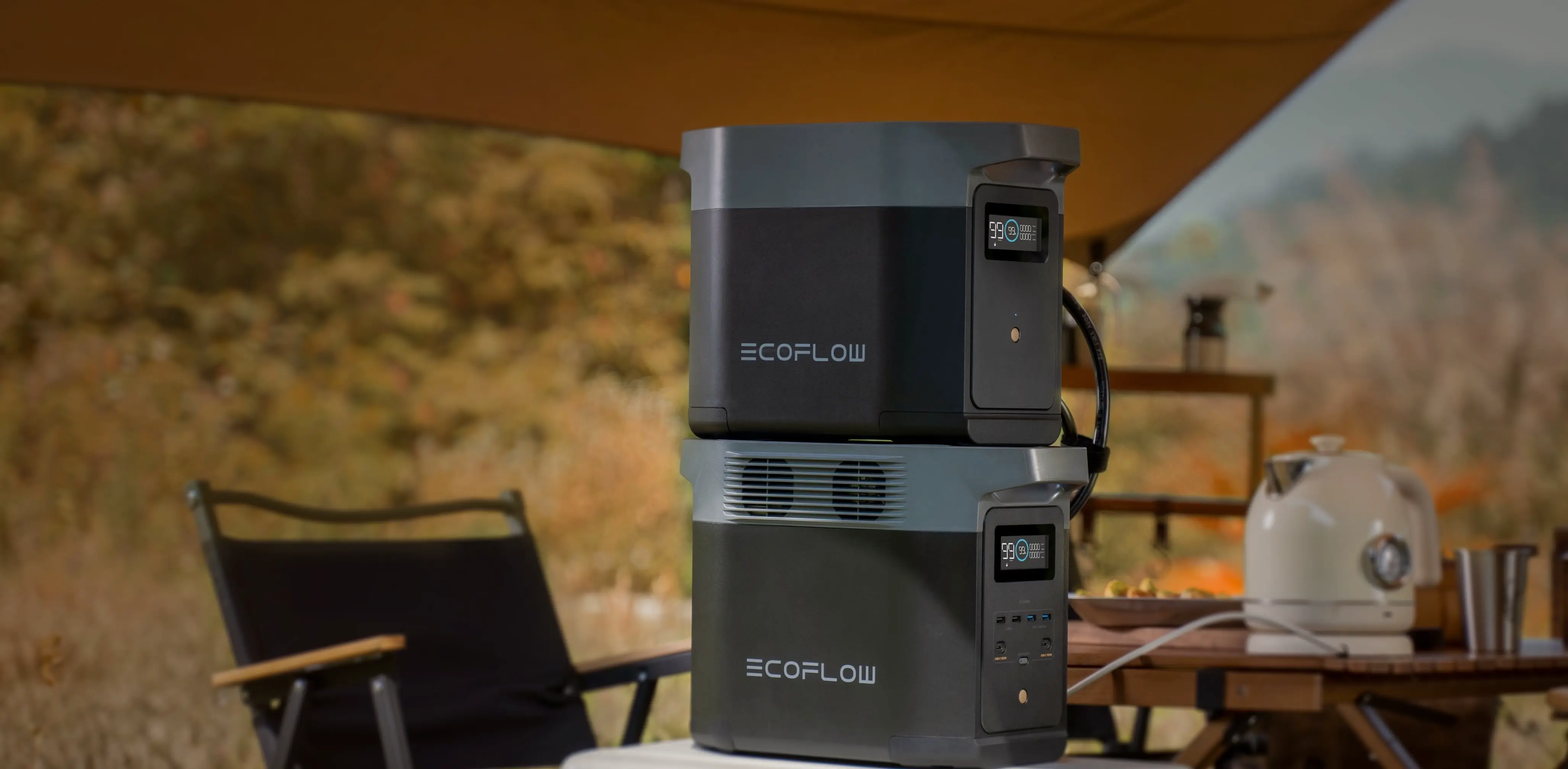 EcoFlow Delta 2 Price and Availability in the Philippines