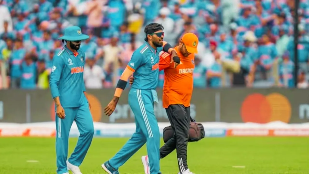 Jadeja took a jibe at Hardik Pandya, saying he is a rare talent and rarely seen on the field