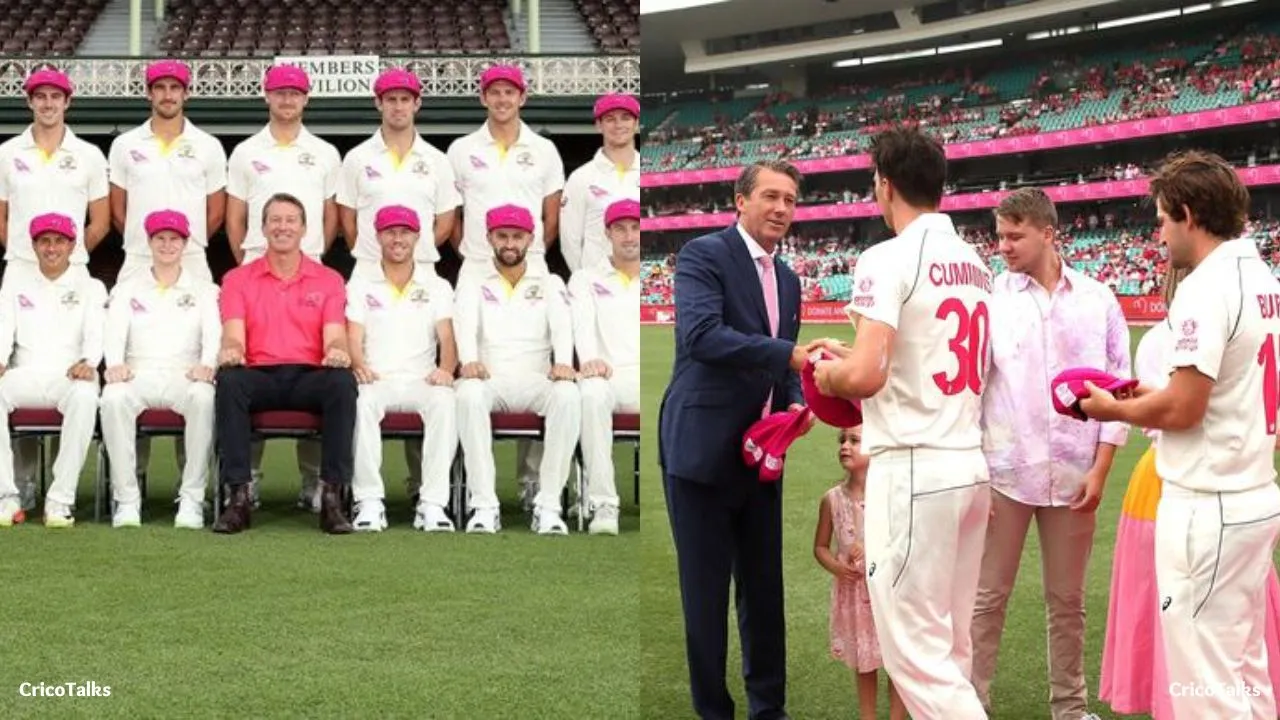 AUS vs PAK: What is the Pink Ball Test and Pink Test Match?