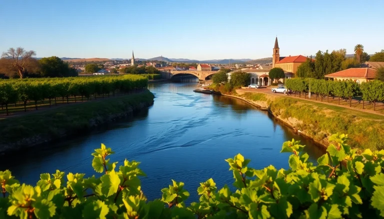 Envisioning Clarksburg CA with vineyards and the Sacramento River under a clear sky.