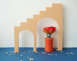 pexels-daria-liudnaya-8166567