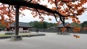 葉酸サプリを手にした妊婦の様子。安心して使用できる葉酸サプリの魅力を表現。