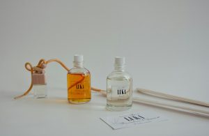 pexels-hanna-brovko-356973158-20467257