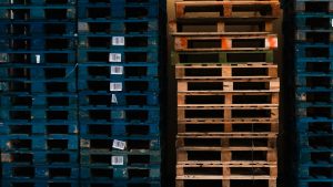 pexels-nikita-grishin-128711293-34908275