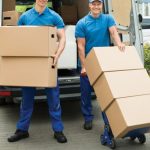 WhatsApp Image 2026-01-09 at 12.07.47 PM (3)