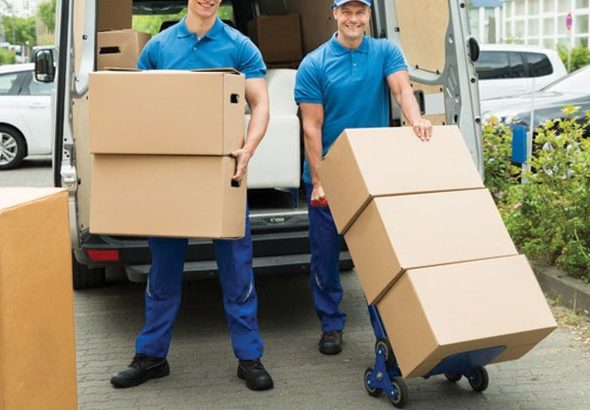 WhatsApp Image 2026-01-09 at 12.07.47 PM (3)